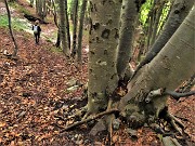 63 Scendiamo camminando su morbido tappeto di foglie